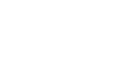 Vizhi Infragen Realtors Logo